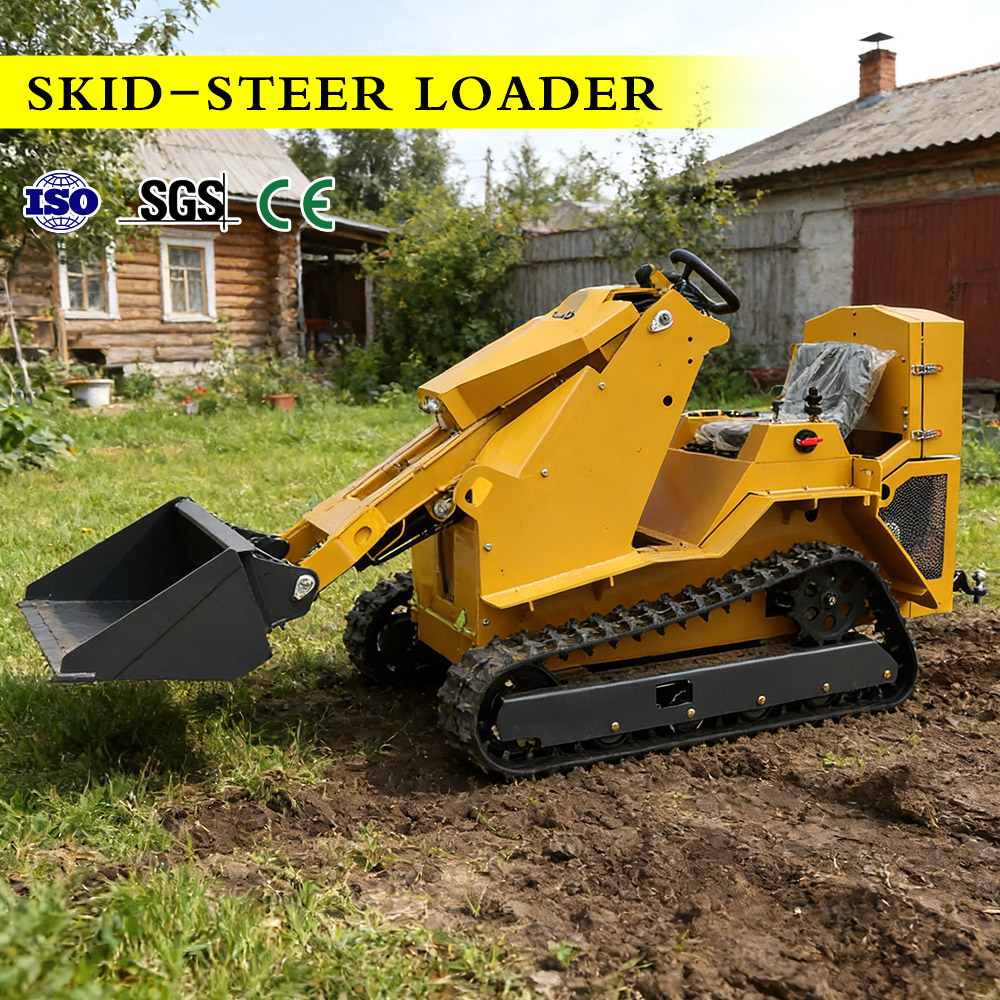 Minipala cingolata pesante con - Heavy Equipment China Brand recensione e prezzo